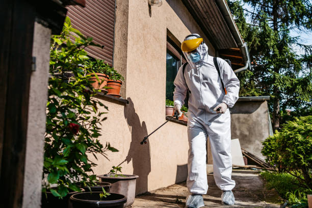 Best Termite Control Services  in Bannockburn, IL