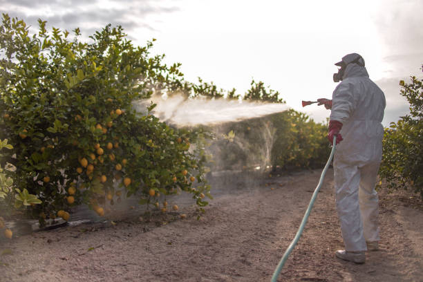 Best Mosquito Control Services  in Bannockburn, IL