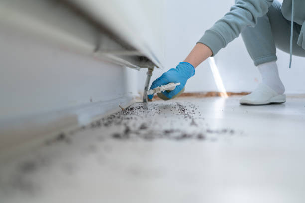 Best Commercial Pest Control Services  in Bannockburn, IL